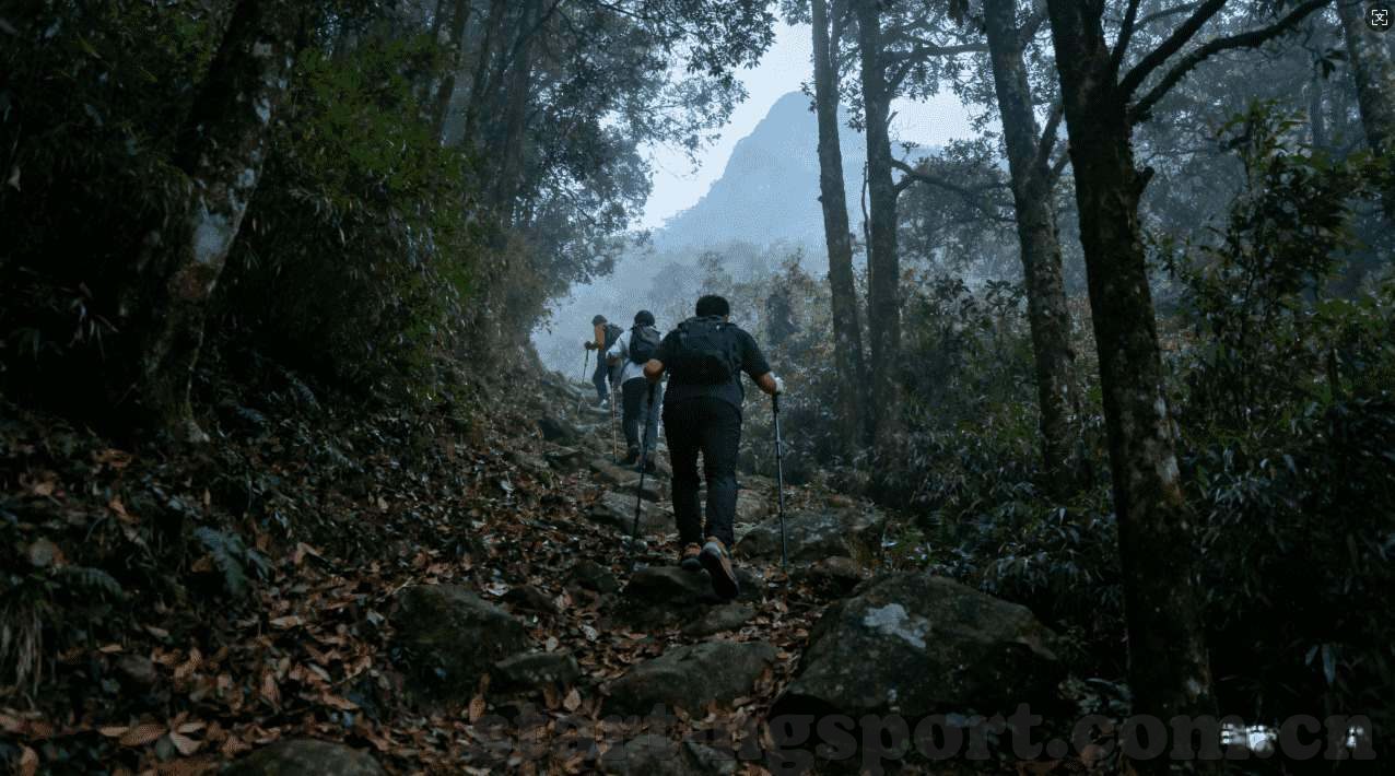 世界杯足球竞猜胜平负-世界杯足球竞猜，胜平负中的智慧与激情